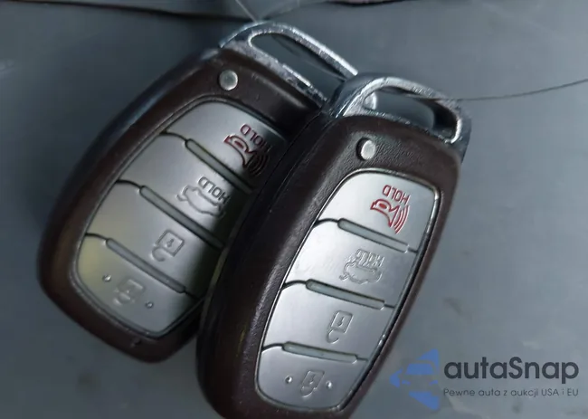 5NPE34AF1HH549826: 42024484