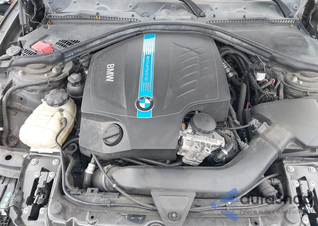 WBA3F9C57DF484126: 42024846