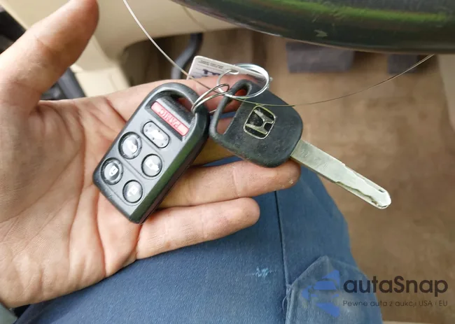 5FNRL38739B054991: 42028604