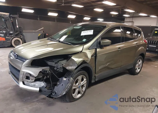 1FMCU9GX9DUC53451: 42028761