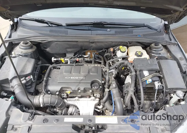 1G1PF5SC7C7207894: 42030029