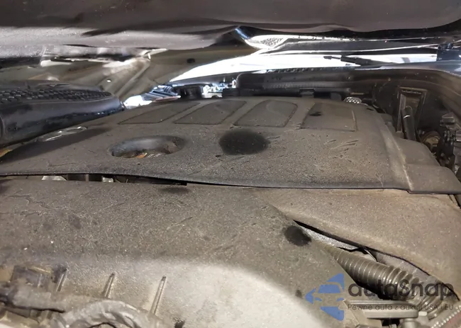 W1KZF8DB5MB001483: 42030736