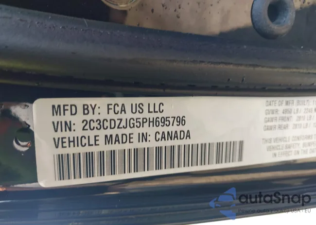 2C3CDZJG5PH695796: 42031795