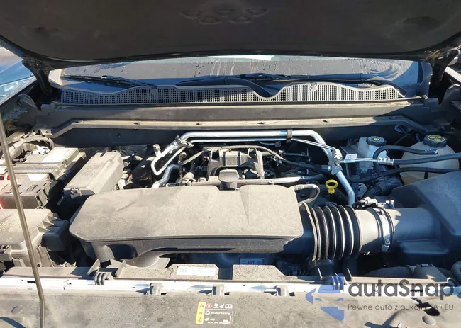 1GCGSCEC1P1237372: 42033066