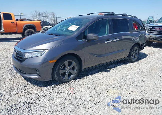 5FNRL6H51MB002767: 42037348