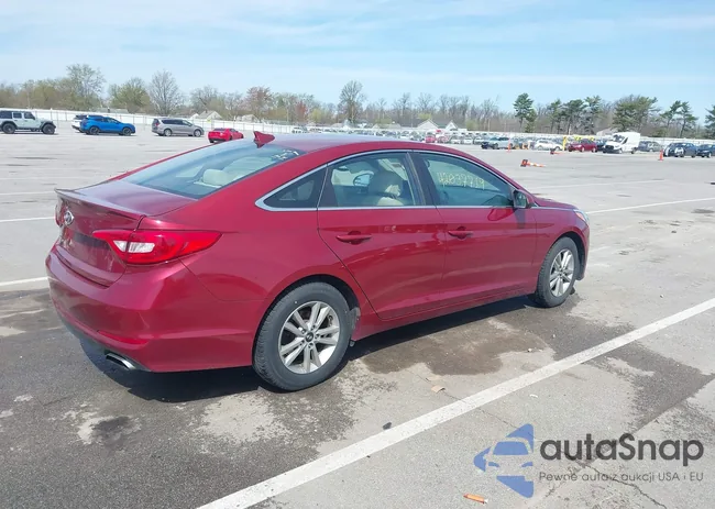 5NPE24AF5FH146951: 42037719