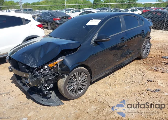 3KPF54AD2PE685043: 42041237