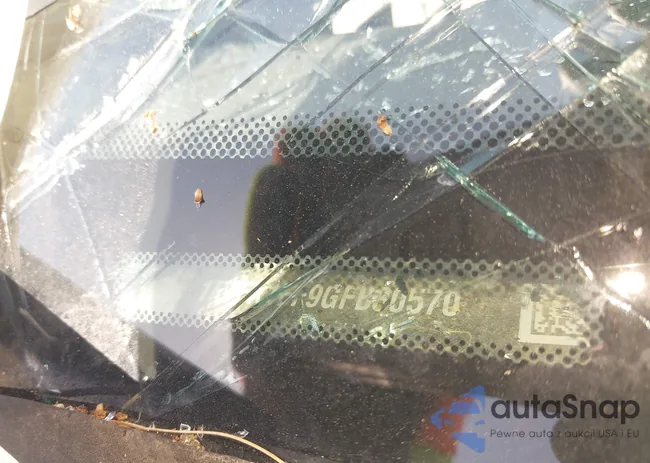 1FTFX1EF9GFB30570: 42041601