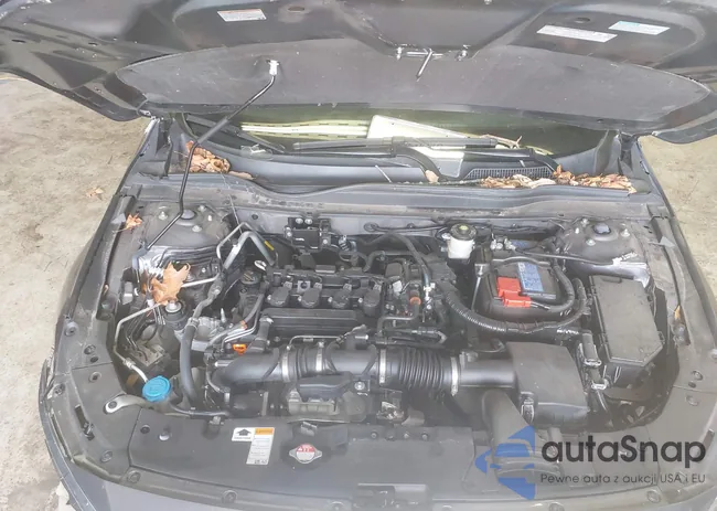 1HGCV1F14MA046260: 42042470