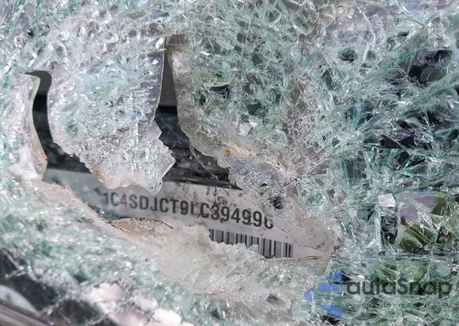 1C4SDJCT9LC394996: 42042568