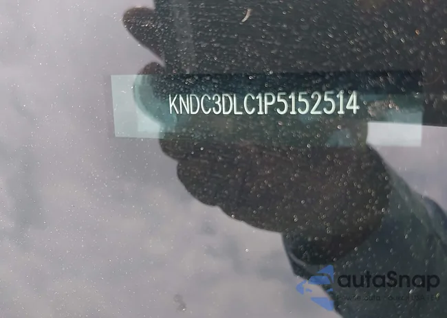 KNDC3DLC1P5152514: 42042702