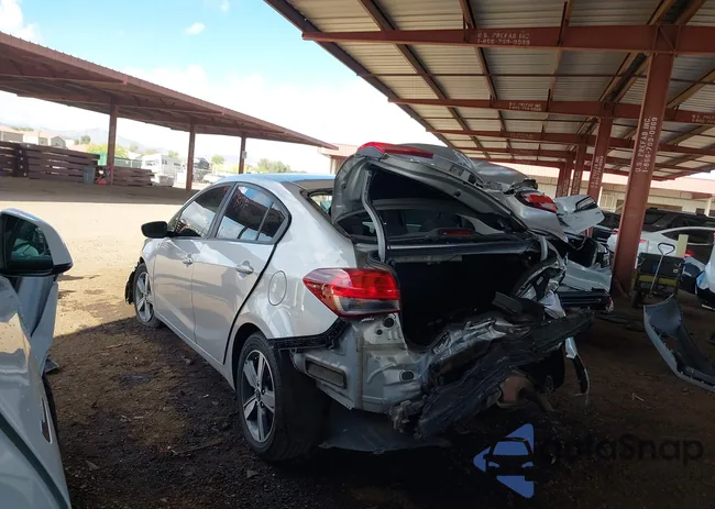 3KPFL4A79JE260667: 42043873