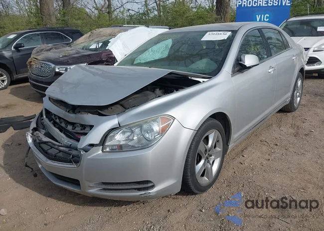 1G1ZC5EB0AF292309: 42048830