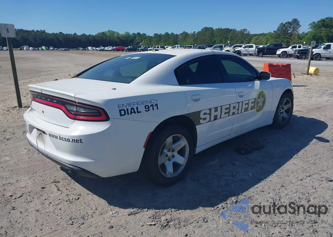 2C3CDXAT9KH644876: 42049208