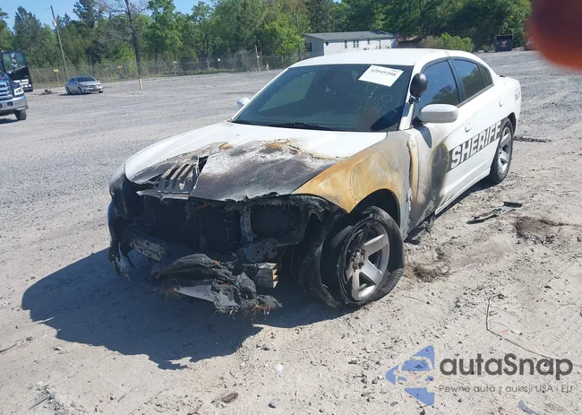 2C3CDXAT9KH644876: 42049208