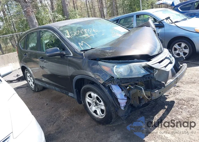 5J6RM3H36DL003091: 42049816