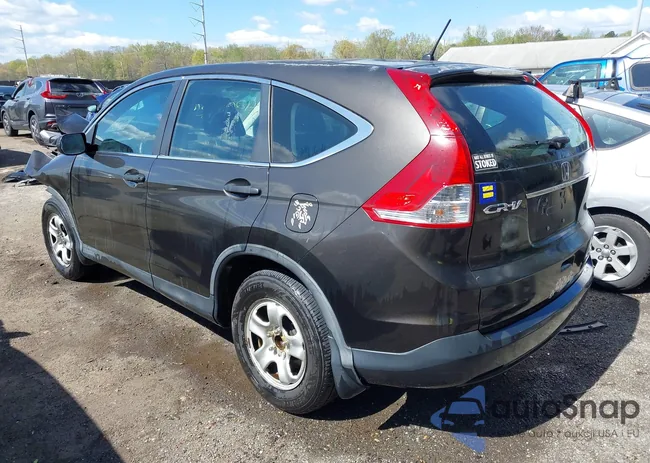 5J6RM3H36DL003091: 42049816