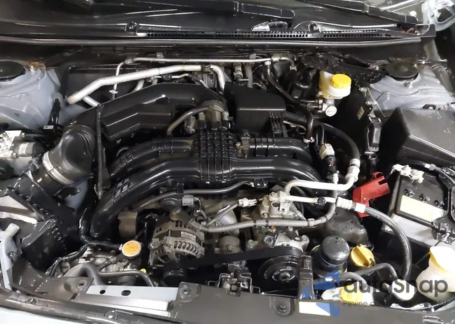 JF2GTABC9M8683358: 42050009