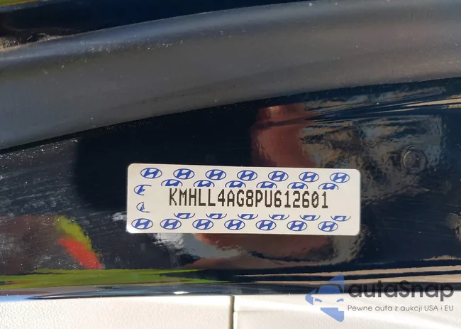 KMHLL4AG8PU612601: 42056030