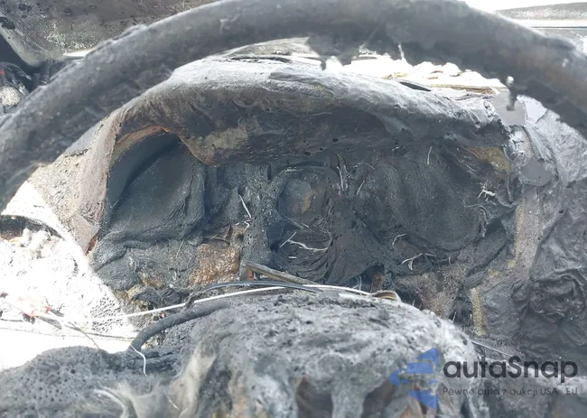 3C4PDDBG3CT297633: 42056704