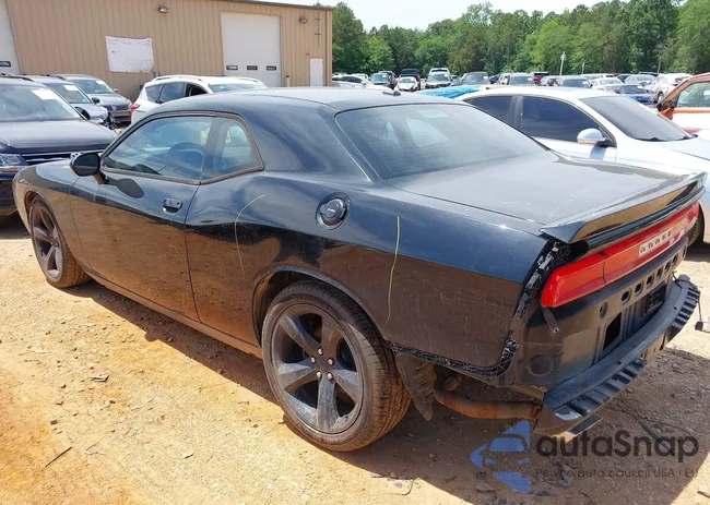 2C3CDYBT0EH115289: 42060234