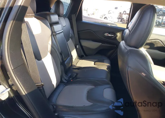 1C4PJLDS3EW256355: 42061243