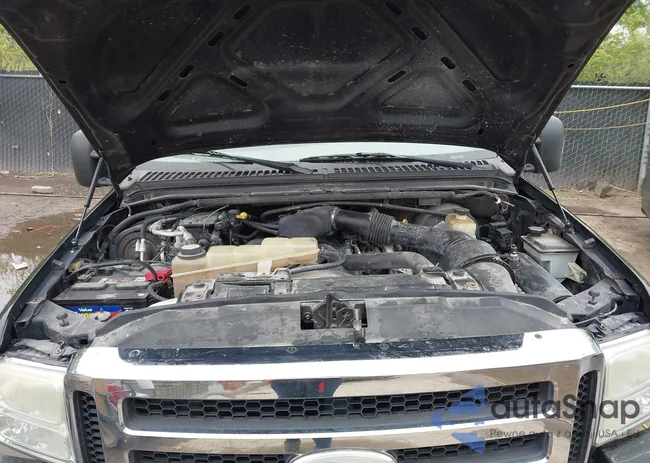 1FMNU41L95EC34363: 42061247