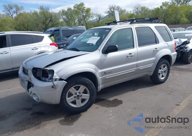 1FMYU96H76KA14124: 42063449