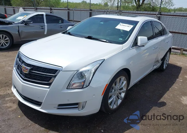 2G61M5S37G9178911: 42066983