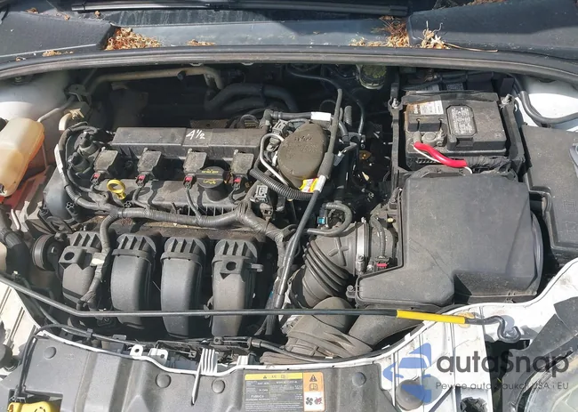 1FADP3F20DL359396: 42071926