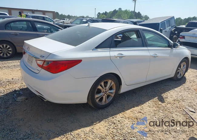 5NPEC4AB6BH299049: 42074472