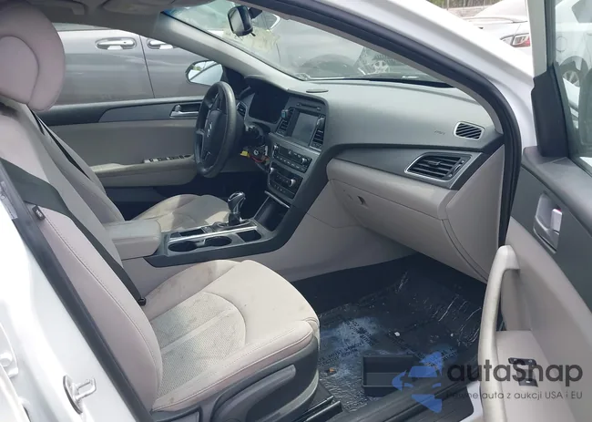 5NPE24AF8HH552970: 42075452