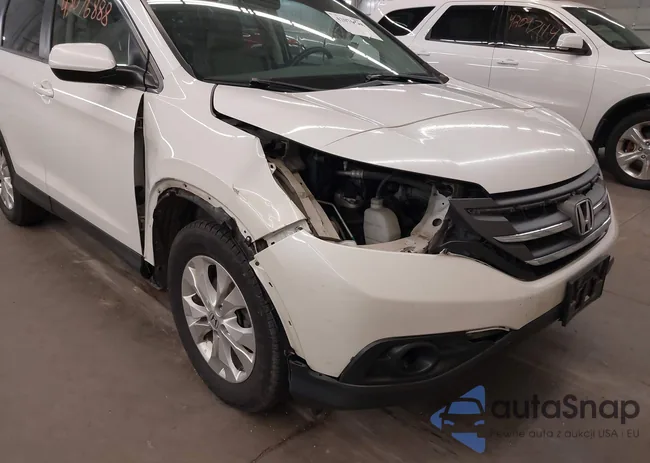 5J6RM4H71DL031244: 42076888