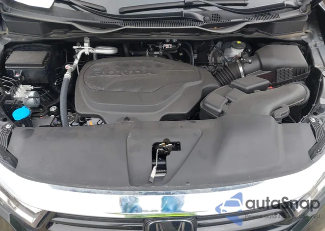 5FNRL6H64RB055401: 42084203