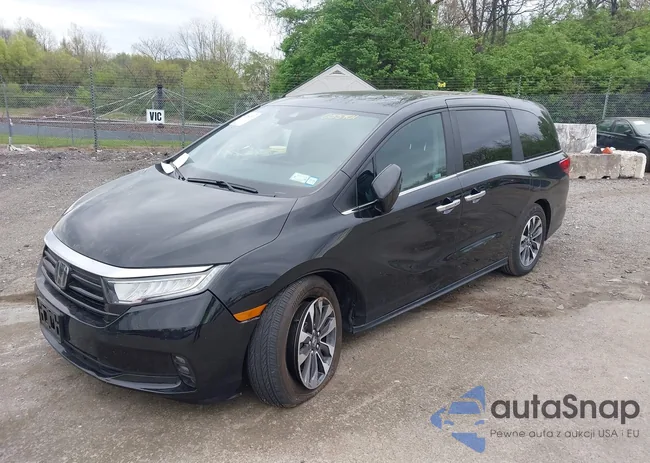 5FNRL6H64RB055401: 42084203