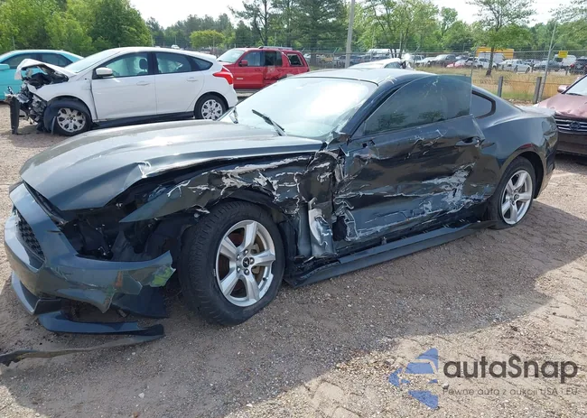 1FA6P8AM0F5384997: 42087331