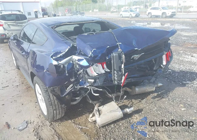 1FA6P8TH2J5164916: 42091142