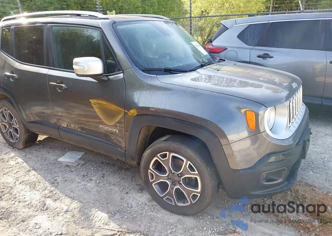 ZACCJBDT4GPC61887: 42093838