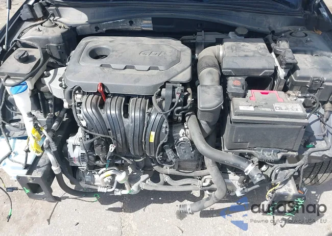 5XXGT4L31KG289393: 42096539