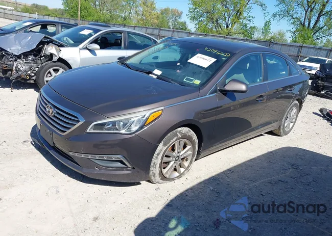 5NPE24AF4FH214981: 42096622