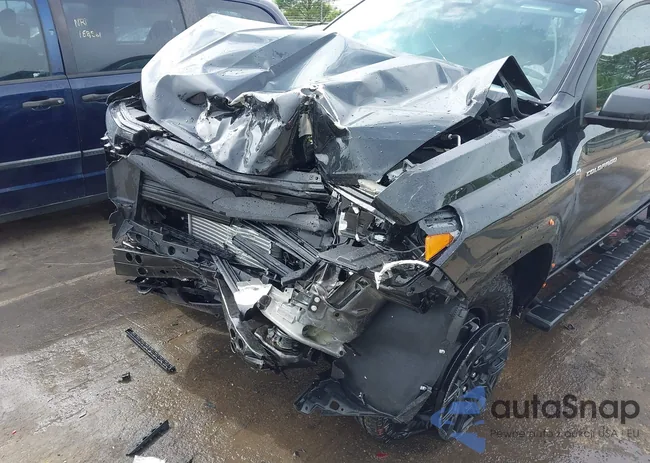 1GCPTEEK1R1247113: 42099125