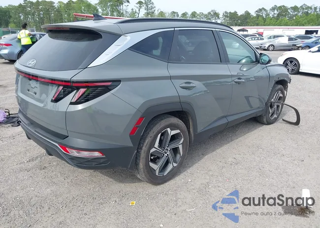 5NMJF3DE1RH312819: 42102203