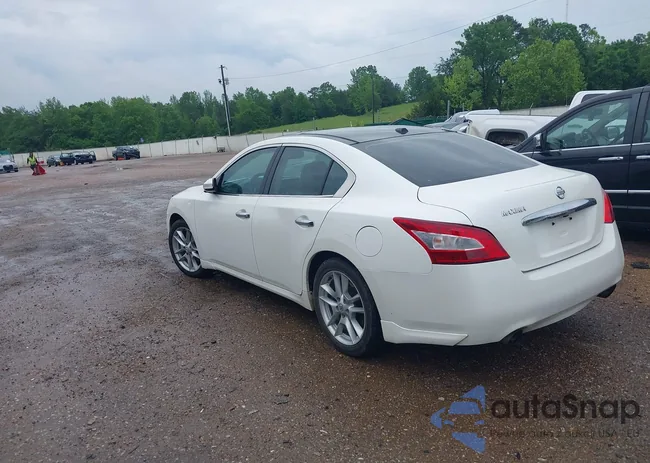 1N4AA5AP0AC849951: 42102702