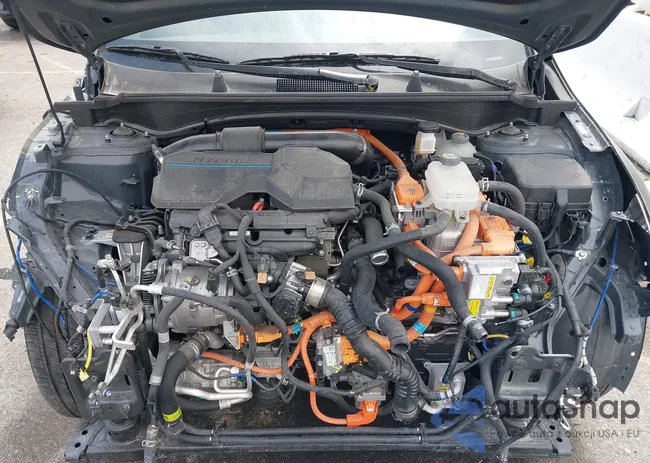 KNDPYDAH1P7084060: 42102747