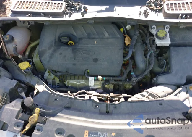 1FMCU9GD4JUD06445: 42102933