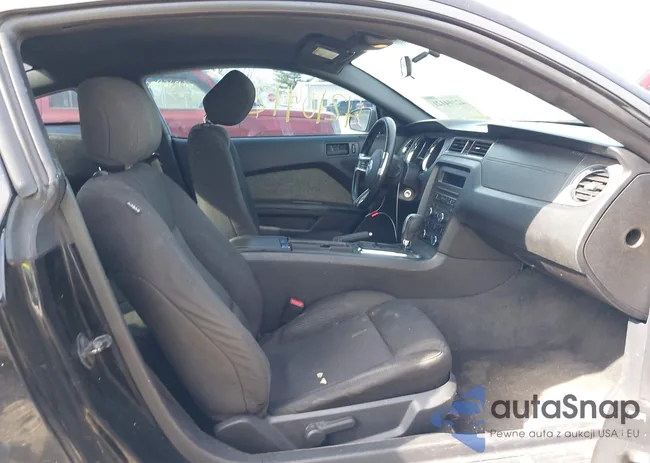 1ZVBP8AM7D5203672: 42104121