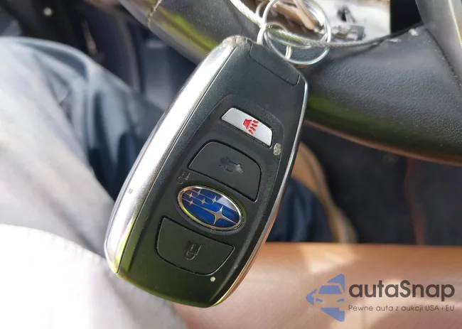 4S4BTAPC8M3179703: 42105368