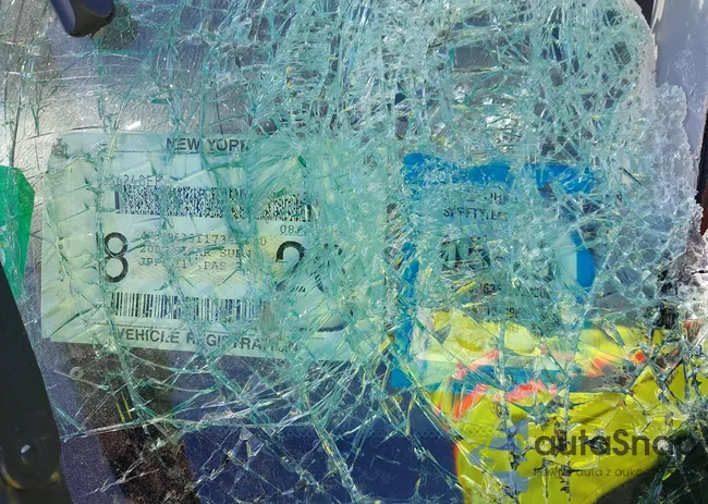 4S3BH635117302000: 42108857