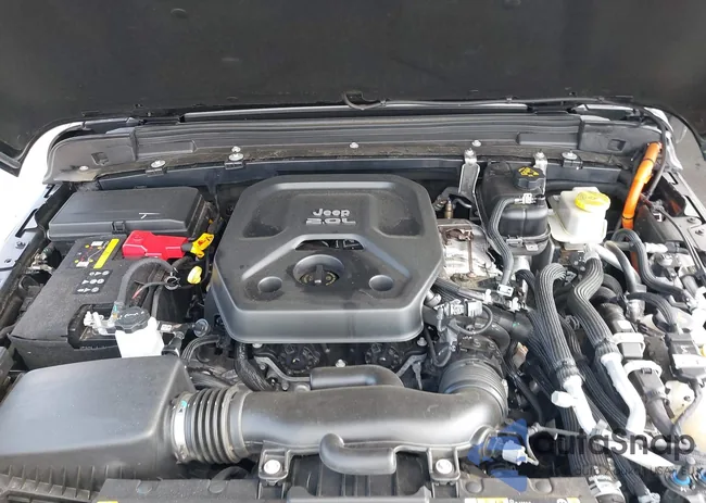 1C4JJXP60NW153776: 42108916