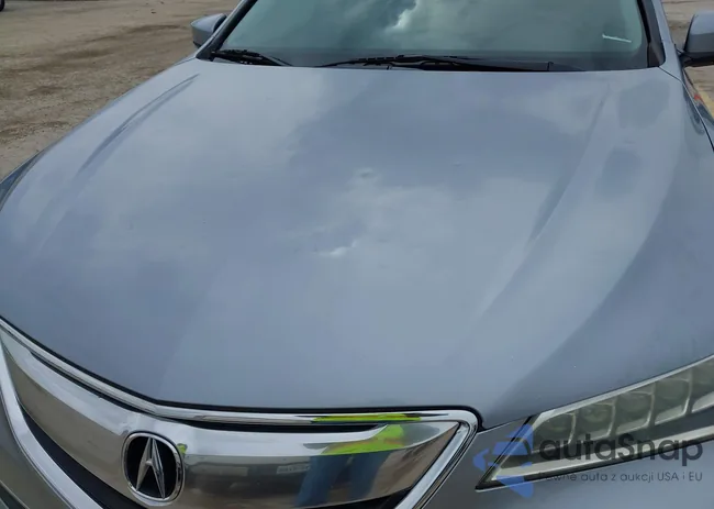 19UUB2F31GA000121: 42108921